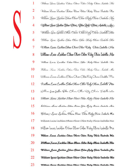 Custom name Shop Car Sticker Decal Outdoor Window Commercial Grade 5~200 cm — shown applied